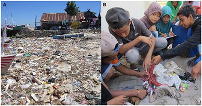 Marine Debris on Small Islands: Insights from an Educational Outreach Program in the Spermonde Archipelago, Indonesia